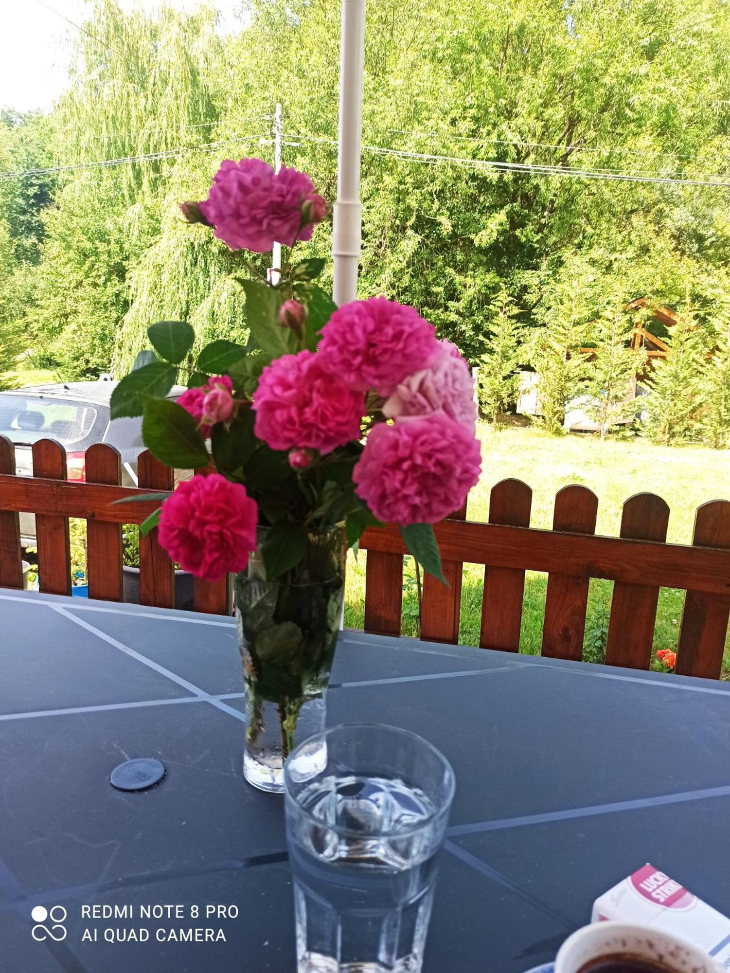 Holiday Home Ivana Kolašin Zewnętrze zdjęcie